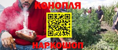 ГАЛЛЮЦИНОГЕННЫЕ ГРИБЫ Ефремов