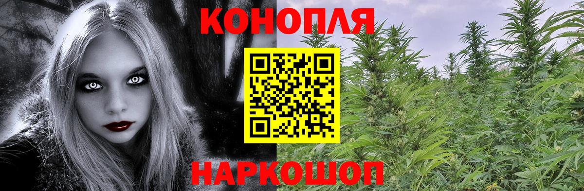 Шишки марихуана планчик Можайск
